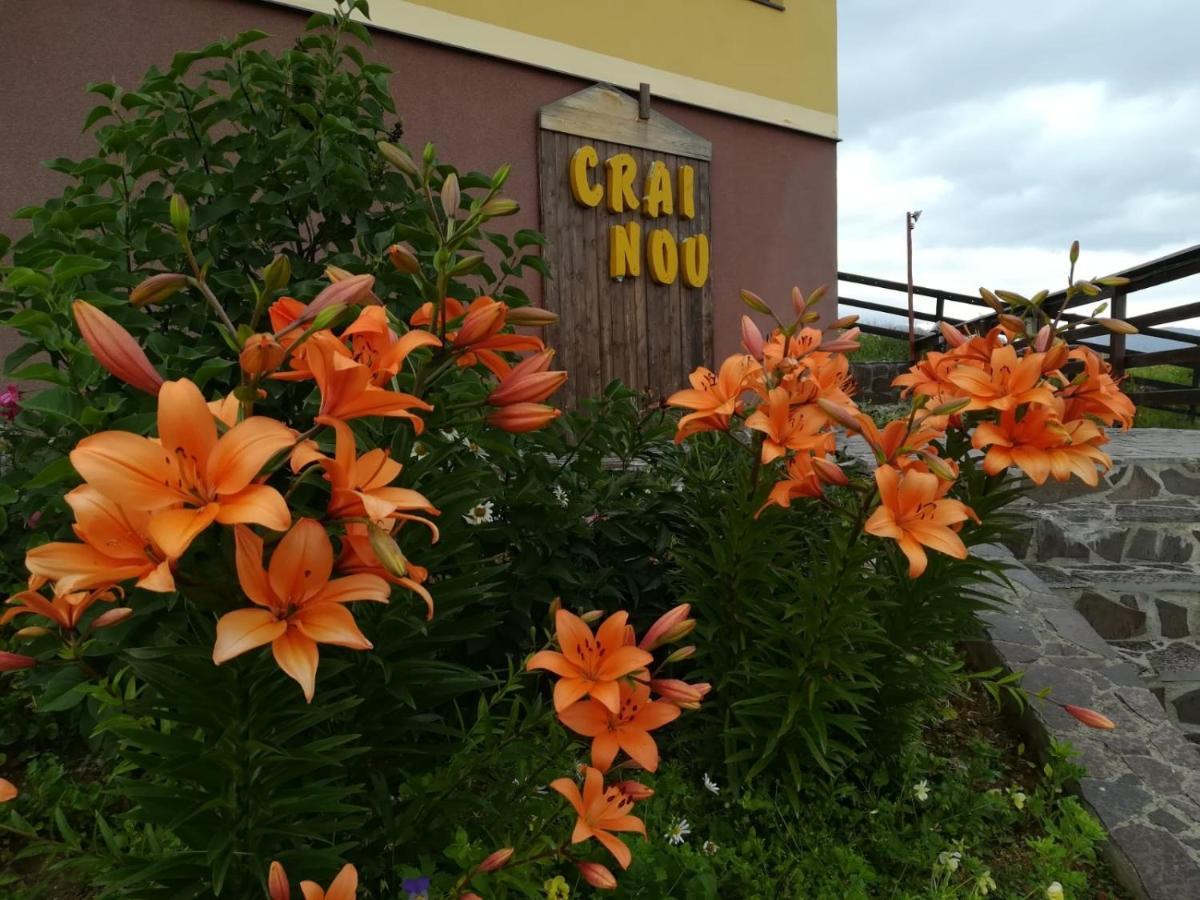 Pensiunea Crai Nou Şirnea Extérieur photo