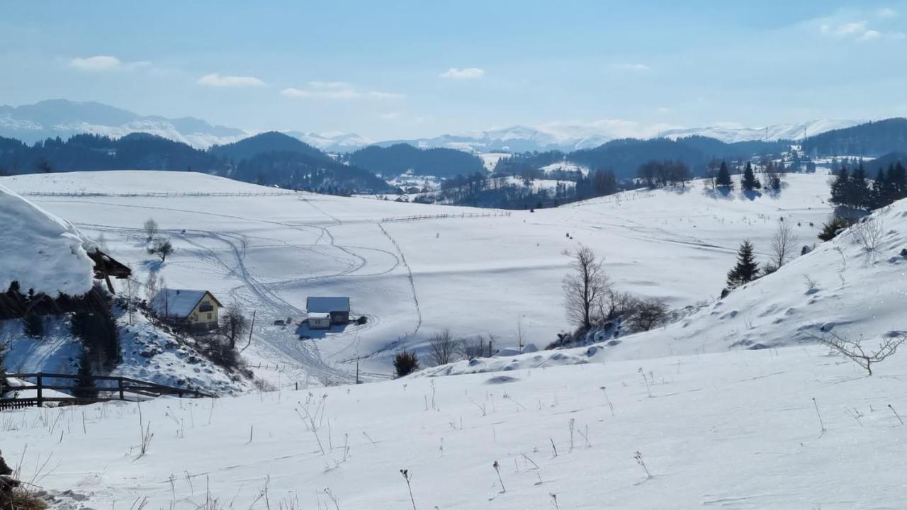 Pensiunea Crai Nou Şirnea Extérieur photo