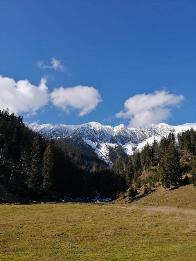 Pensiunea Crai Nou Şirnea Extérieur photo