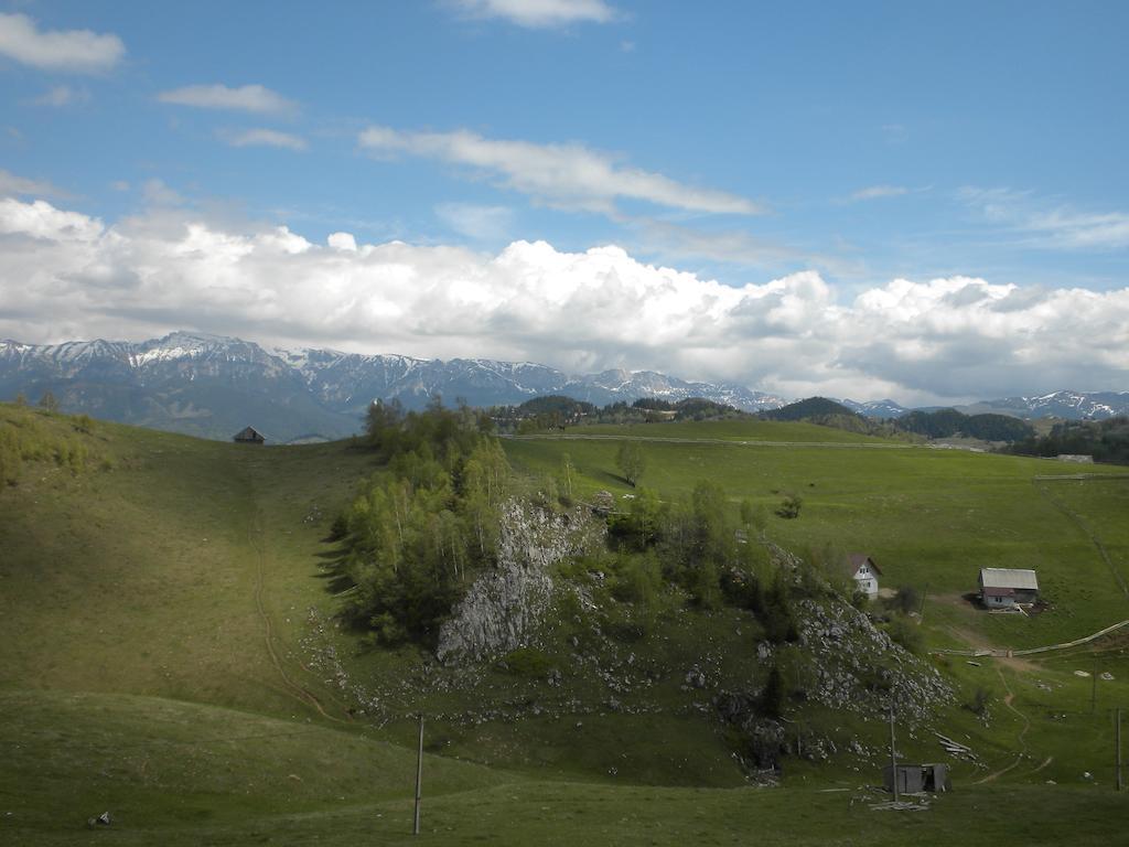 Pensiunea Crai Nou Şirnea Extérieur photo