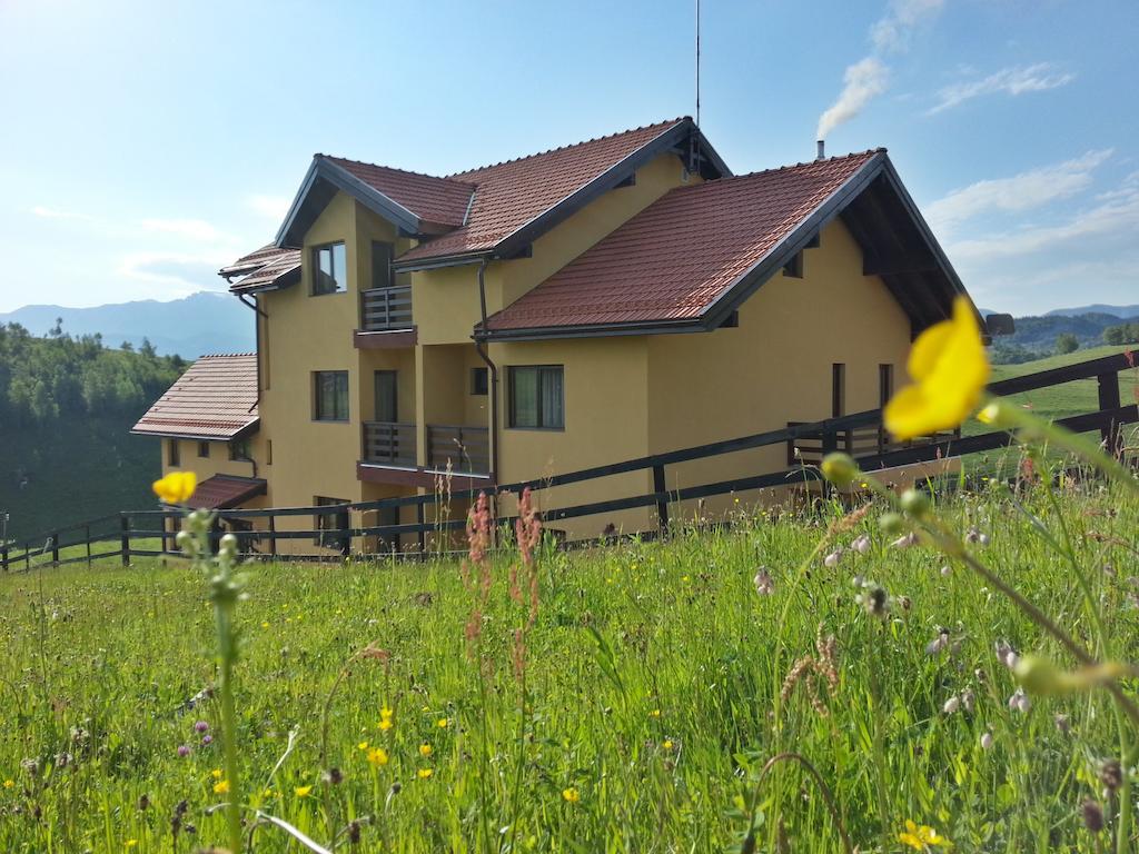 Pensiunea Crai Nou Şirnea Extérieur photo